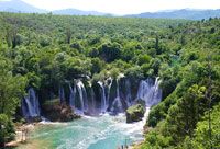 kravica